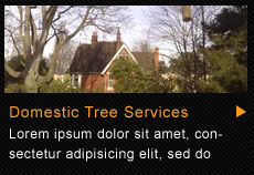 Domestic tree services